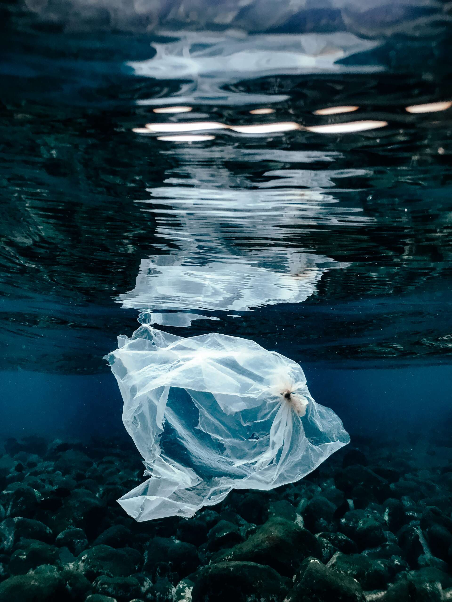 Microplastics in Water: What You Need to Know and How to Remove Them